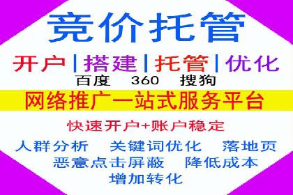 SEM推广实战：案例解析与策略探讨